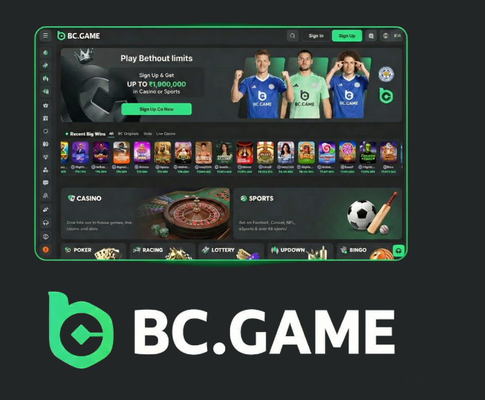 Exploring BC.Game Poland A New Horizon in Online Gaming